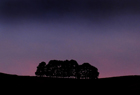 Port Hills ID 102064.jpg